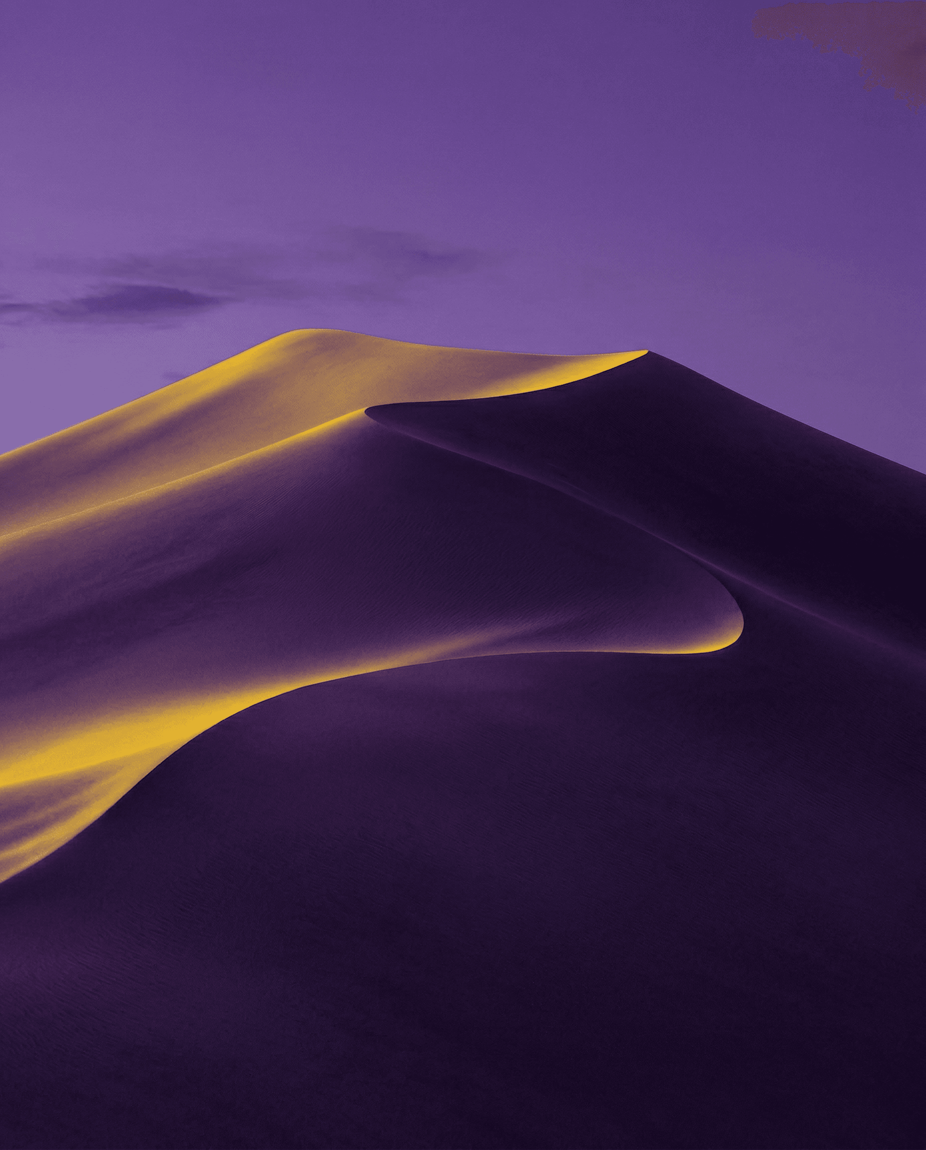 Decorative desert landscape